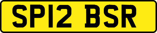 SP12BSR