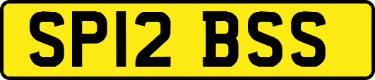 SP12BSS