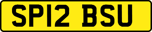 SP12BSU