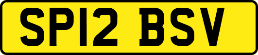 SP12BSV