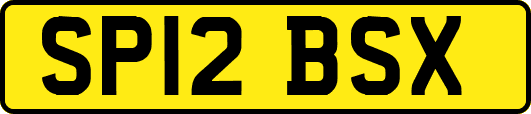 SP12BSX