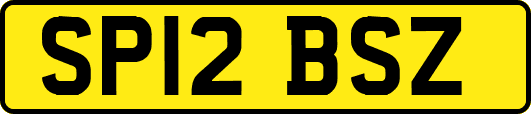 SP12BSZ