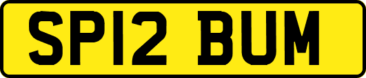 SP12BUM