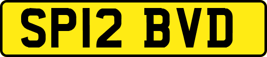 SP12BVD