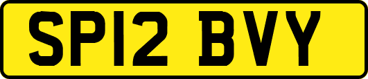 SP12BVY