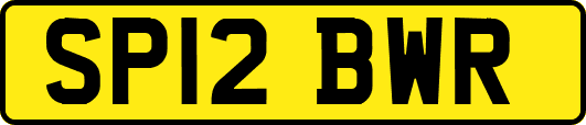 SP12BWR