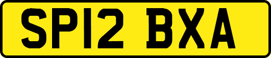 SP12BXA