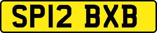 SP12BXB