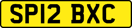 SP12BXC