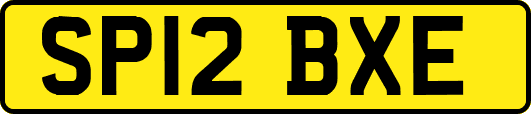 SP12BXE