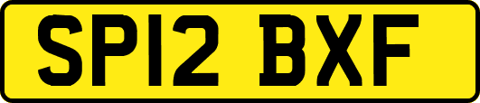 SP12BXF