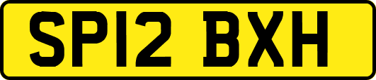 SP12BXH