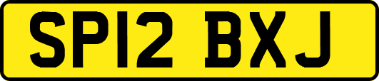 SP12BXJ