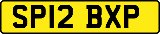 SP12BXP