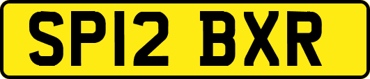 SP12BXR