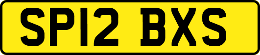SP12BXS