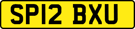 SP12BXU