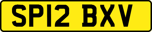 SP12BXV