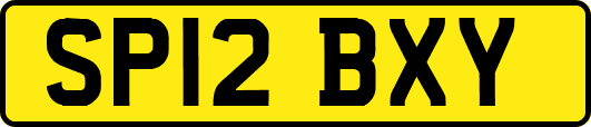SP12BXY