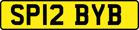 SP12BYB