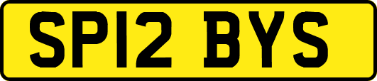 SP12BYS