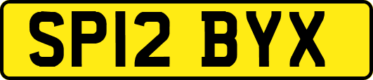 SP12BYX
