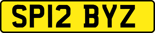 SP12BYZ