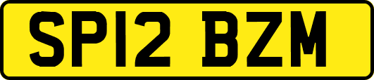 SP12BZM