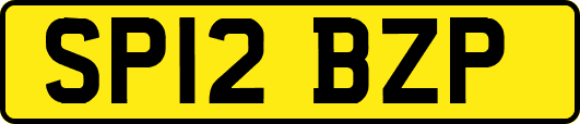 SP12BZP