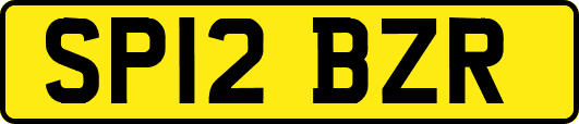 SP12BZR