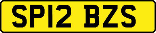 SP12BZS
