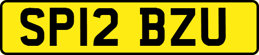 SP12BZU