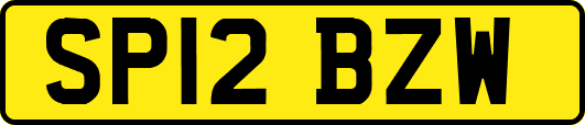 SP12BZW