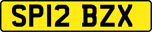 SP12BZX