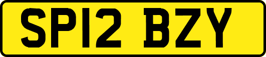 SP12BZY