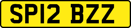 SP12BZZ