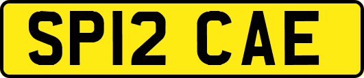 SP12CAE