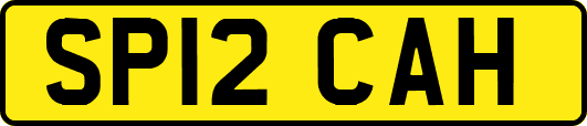 SP12CAH