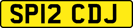 SP12CDJ