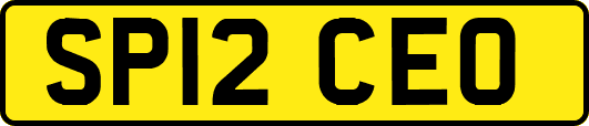 SP12CEO