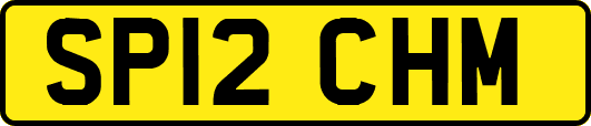 SP12CHM