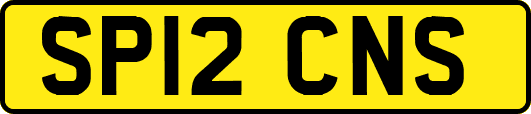 SP12CNS