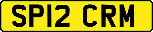 SP12CRM