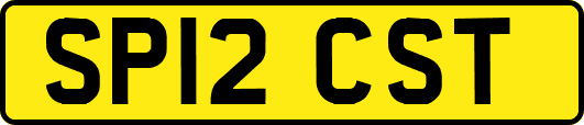 SP12CST