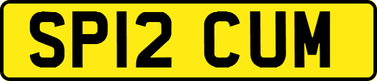 SP12CUM