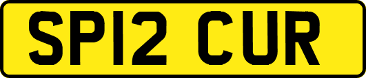 SP12CUR