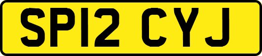 SP12CYJ