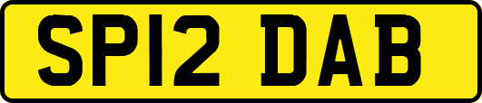 SP12DAB