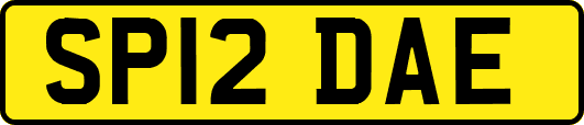 SP12DAE