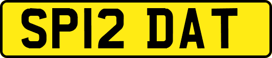 SP12DAT